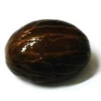 {
  "text": "orobó – sacred seed"
}