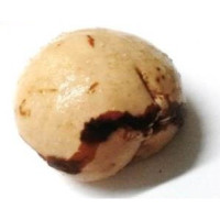 {
  "text": "obi – sacred seed"
}