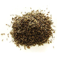 {
  "product_name": "lavender – plant 100gr"
}