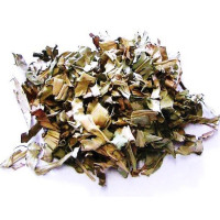 {
  "name": "cana do brejo – planta 50g"
}