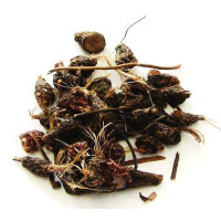 {
  "name": "dandá da costa – planta 50g"
}