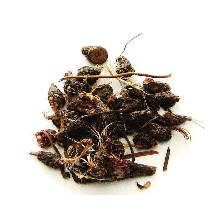 {
  "name": "dandá da costa – planta 50g"
}