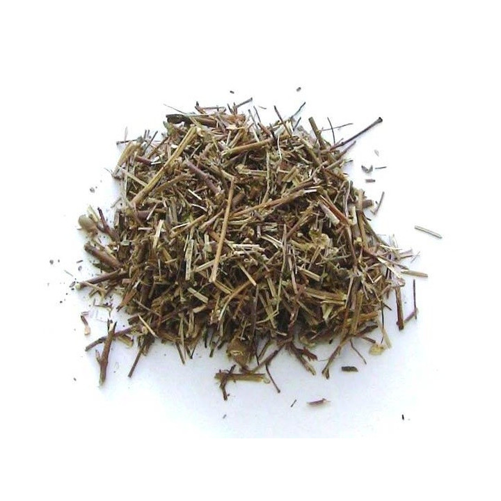 {
  "name": "St. Lucia Herb 50g"
}