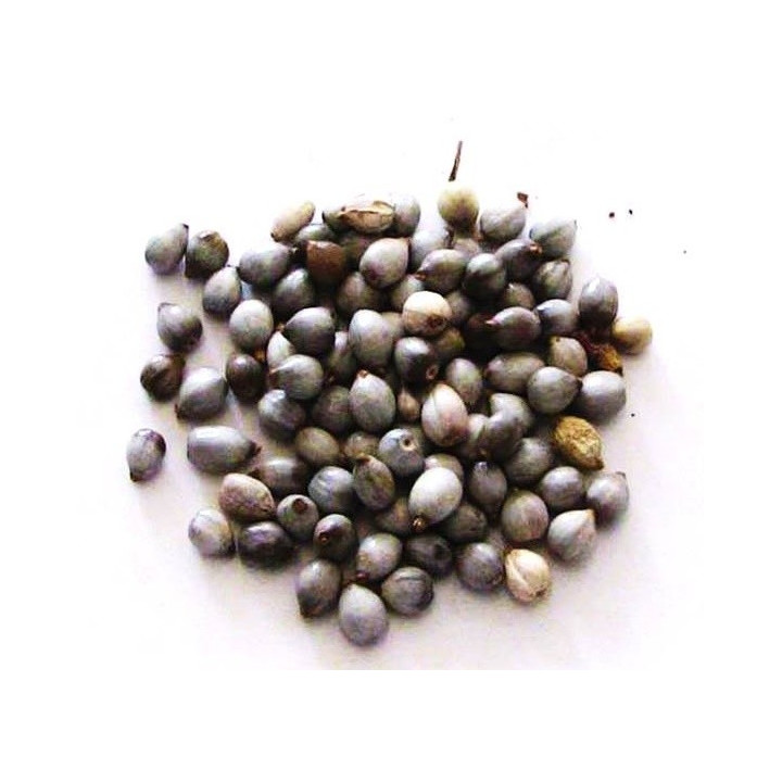 lágrimas de nossa senhora – sementes 50gr