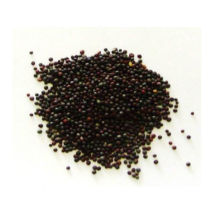 mostarda – grãos (sementes) 20gr