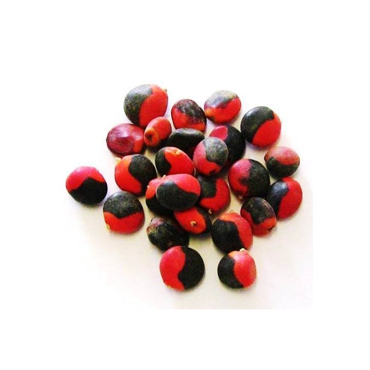 olho de cabra – sementes 50gr