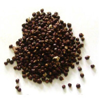 pimenta da costa – grãos 20gr