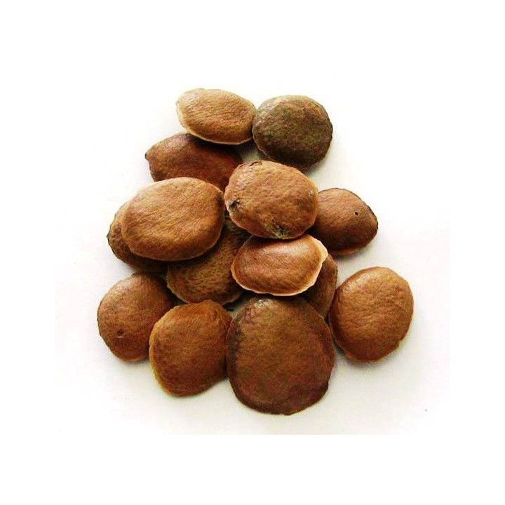 sucupira – sementes 50gr