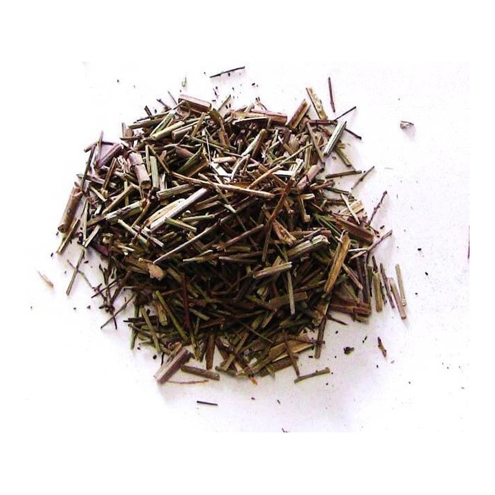 {
  "name": "vervain – plant 100gr"
}