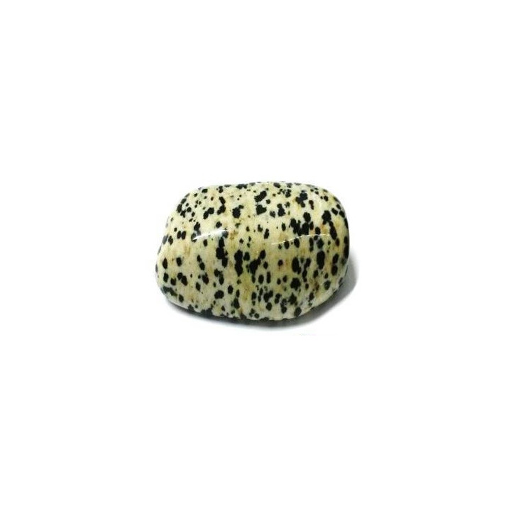 {
  "text": "dalmatian jasper – medium"
}