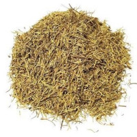 alecrim – planta 1kg