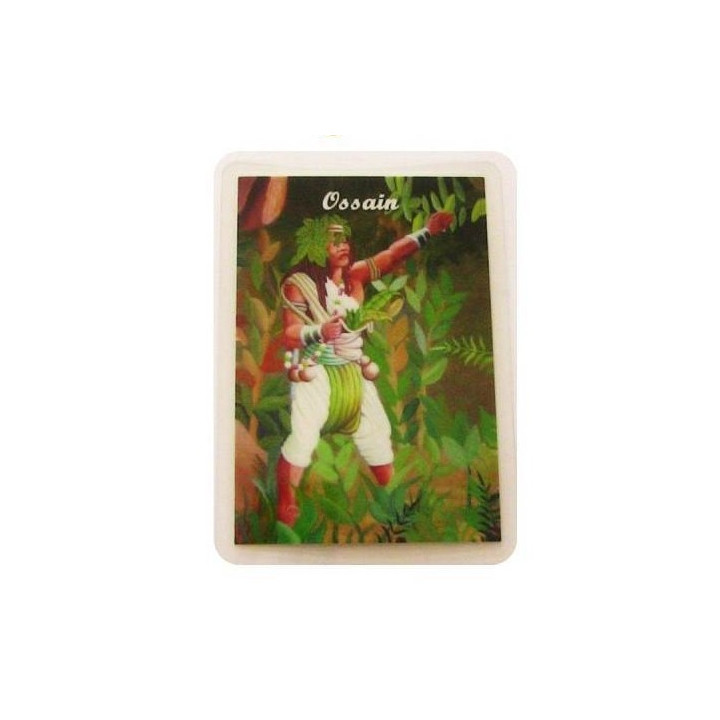 {
  "product_name": "Orixá card – Ossain"
}