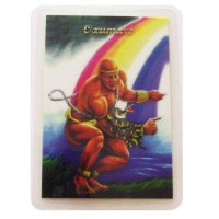 {
  "product_name": "Orixá card – Oxumaré"
}