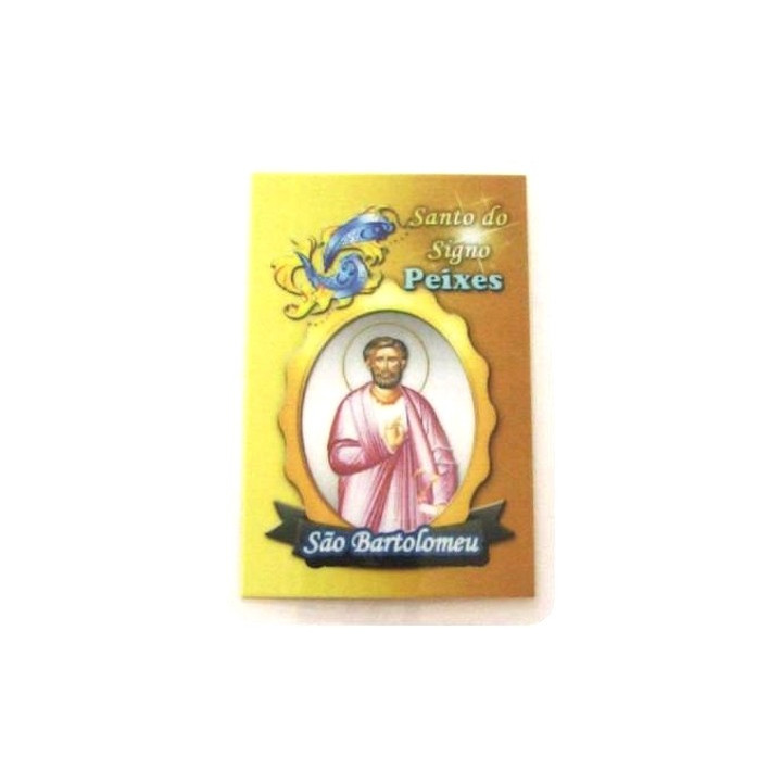 {
  "product_name": "zodiac sign card – pisces/saint bartolomeo"
}