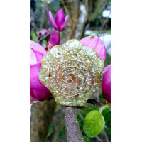 {
  "name": "ORGONITE - CONCHA DE SANTIAGO"
}
```json
{
  "name": "ORGONITE - CONCHA DE SANTIAGO"
}
```