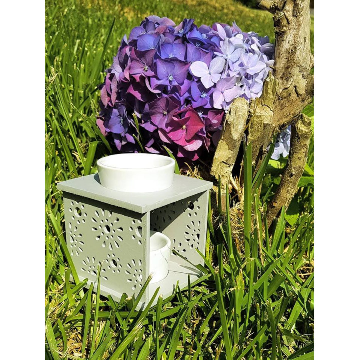 {
  "product_name": "Essence Burner - Room Freshener"
}