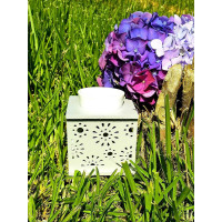 Queimados de essências - ambiente