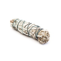 {
  "product_name": "white sage – torch (15cm roll)"
}