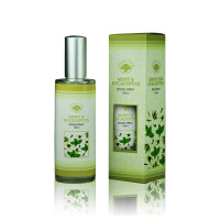 {
  "name": "Room Freshener Menthol and Eucalyptus - 100ml"
}