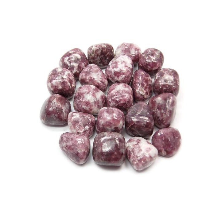 {
  "name": "Lepidolite - Small"
}