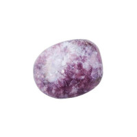 {
  "name": "Lepidolite - Small"
}