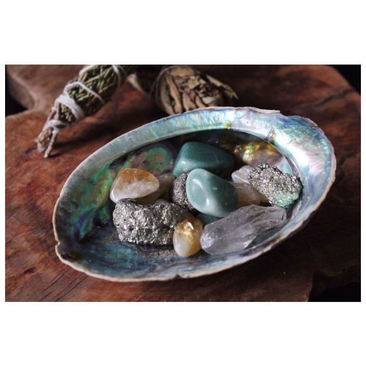 {
  "name": "Abalone Shell 12/14cm"
}