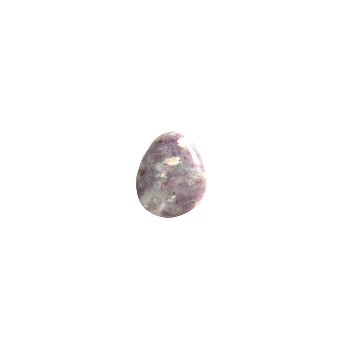 {
  "product_name": "Lepidolite - flat medium 3/4cm"
}
