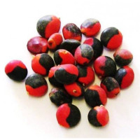 {
  "name": "Goat Eye - Set of 10"
}