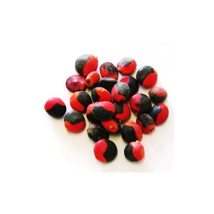 {
  "name": "Goat Eye - Set of 10"
}