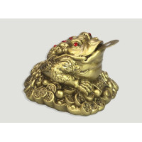 sapo do dinheiro – medio