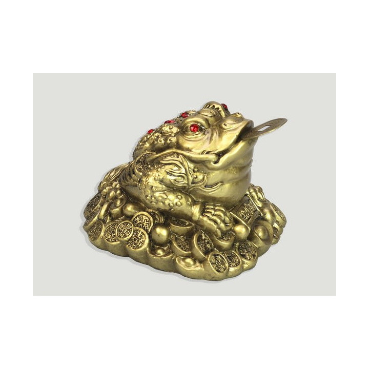 sapo do dinheiro – medio