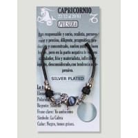 {
  "name": "Capricorn Zodiac Bracelet - Silver"
}