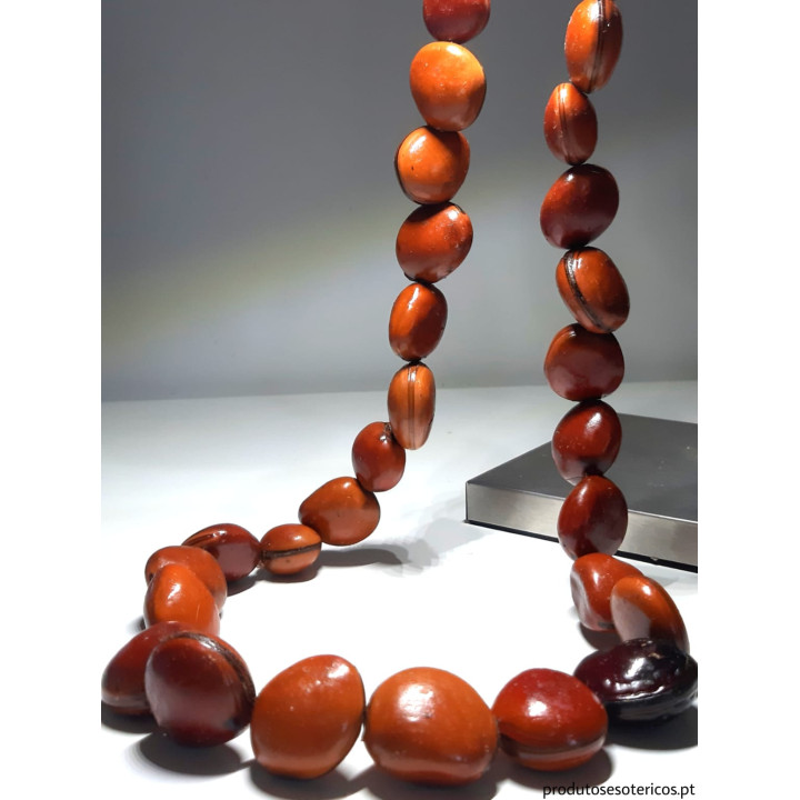 {
  "name": "Bull Eye Necklace"
}