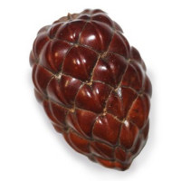 ```json
{
  "name": "oxosse"
}
```