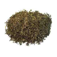 {
  "name": "Erva Bicho - 100g"
}