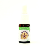 {
  "name": "Calm and Tranquility Formula - 10ml"
}