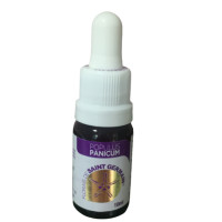 {
  "name": "Floral Populus Panicum - 10ml"
}