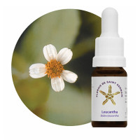{
  "name": "Floral Leucantha - 10ml"
}
