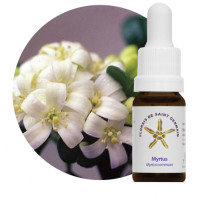 {
  "name": "Myrtle Floral - 10ml"
}
