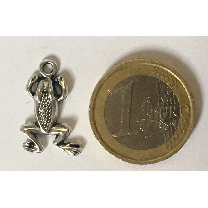 {
  "name": "Amulet - Lucky Frog"
}