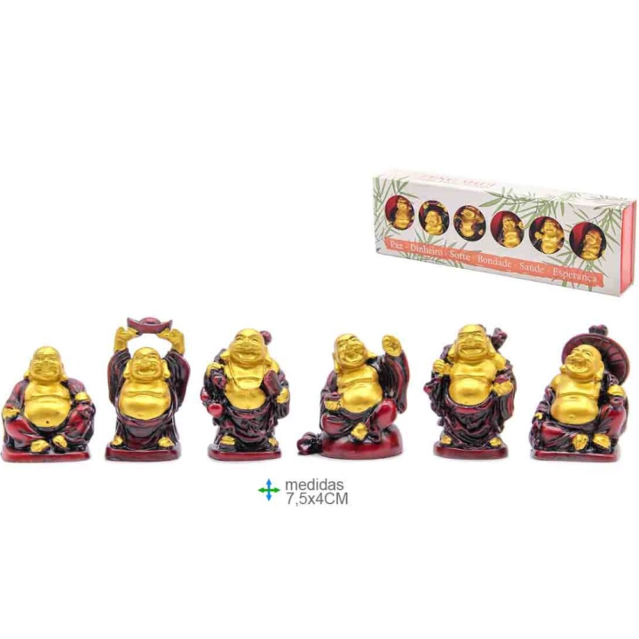 {
  "name": "Buddha Feng Shui (6 Pieces) Resin"
}