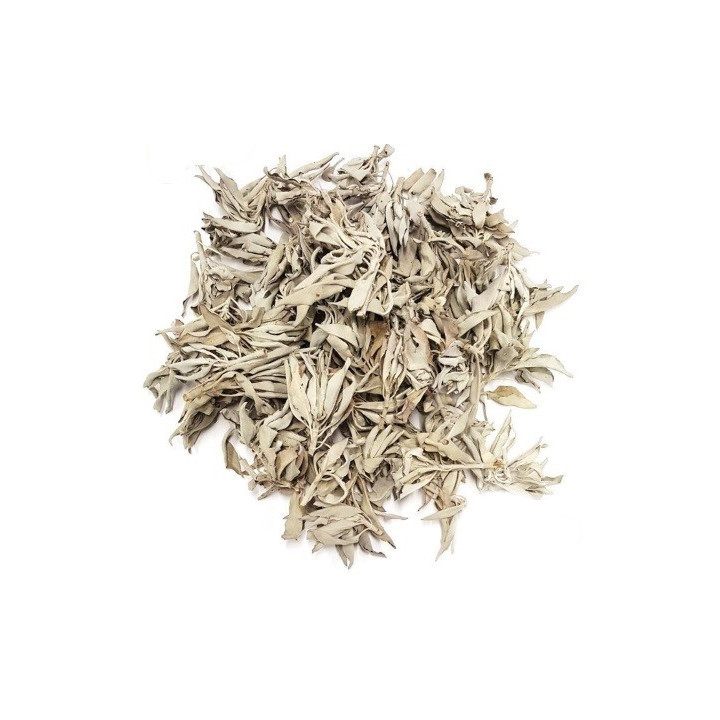 salvia branca – planta 1kg