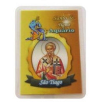 {
  "text": "zodiac sign card – aquarius/saint james"
}