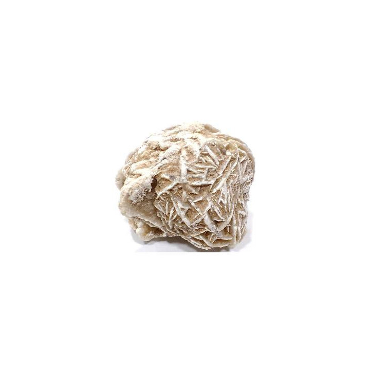 rosa do deserto (rosa das areias)