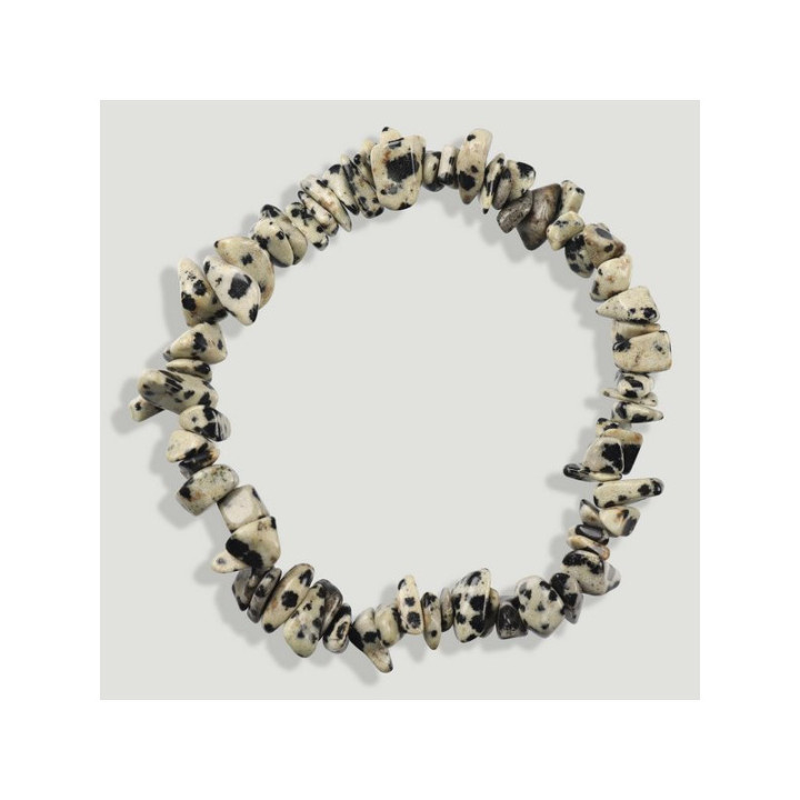 {
  "product_name": "Dalmatian Jasper Bracelet"
}