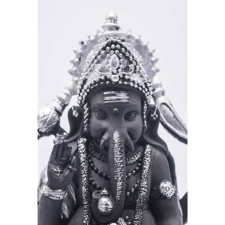 {
  "product_name": "Ganesha"
}