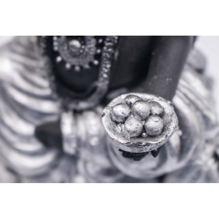 {
  "product_name": "Ganesha"
}