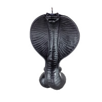 {
  "product_name": "Vibora"
}