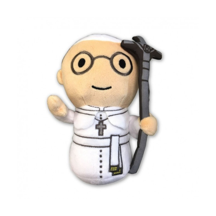 {
  "text": "Pope Francis"
}