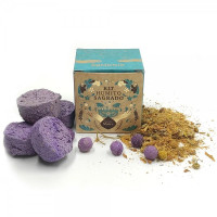 {
  "text": "Harmony"
}